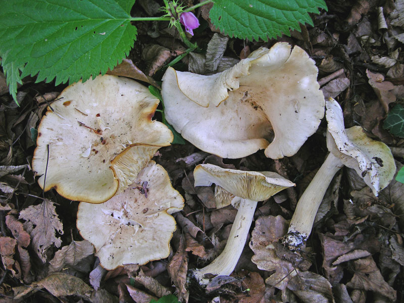 Ritrovamenti di oggi 8 maggio.
